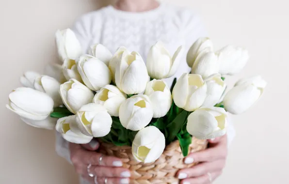 Картинка цветы, женщина, букет, весна, руки, тюльпаны, белые, корзинка, светлый фон, бутоны, боке