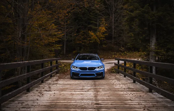Картинка BMW, Blue, Autumn, River, Face, F82