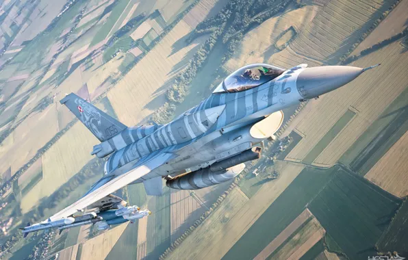 Картинка Поле, Лес, F-16, Пилот, F-16 Fighting Falcon, Кокпит, ВВС Польши, Авиабомба, ИЛС, ПТБ, AIM-120 AMRAAM, …