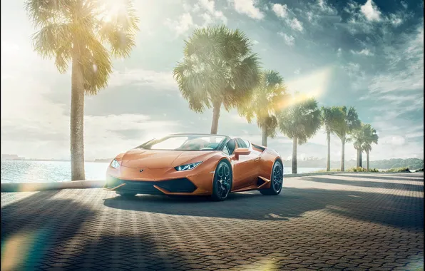 Картинка пальмы, транспорт, тени, автомобиль, Lamborghini Huracán Spyder