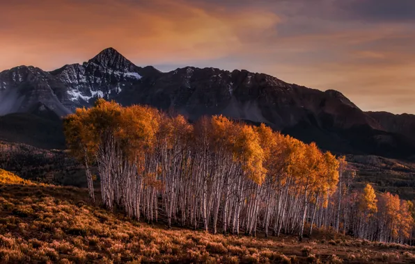 Картинка осень, горы, берёзы