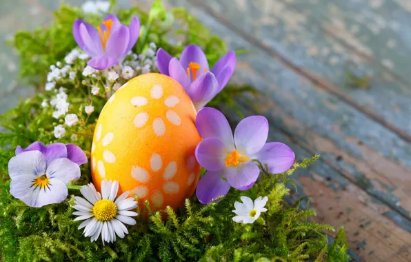 Картинка цветы, яйцо, Пасха, крокусы, flowers, spring, easter