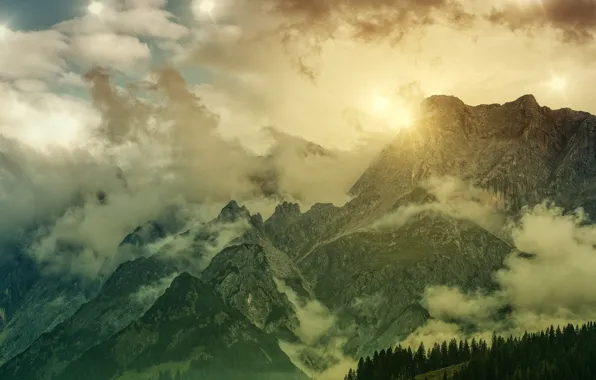 Картинка лес, небо, солнце, облака, свет, горы, туман, скалы, склоны, вершины, высота, Альпы, пар