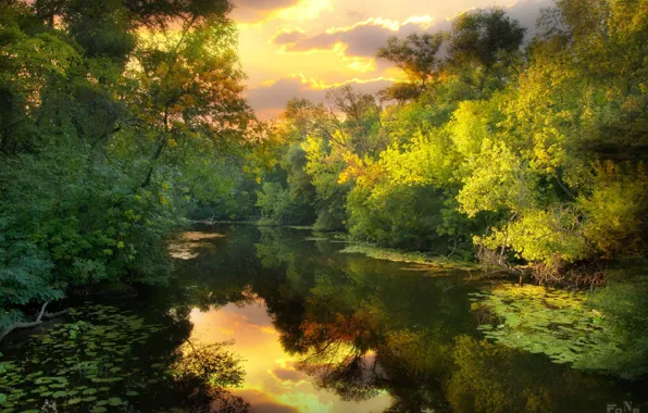 Картинка солнце, деревья, отражение, река, вечер