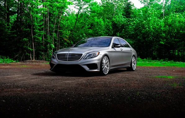 Картинка Mercedes, Silver, Forest, S-class, W222, S63
