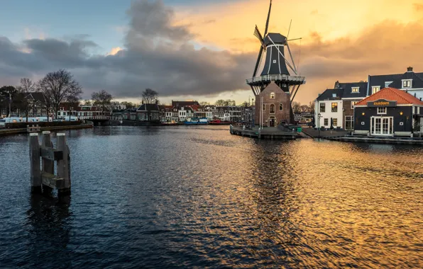 Картинка мельница, Нидерланды, Haarlem
