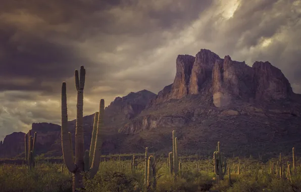 Картинка небо, облака, горы, тучи, природа, скалы, кактусы, США, Arizona, Superstition Mountains