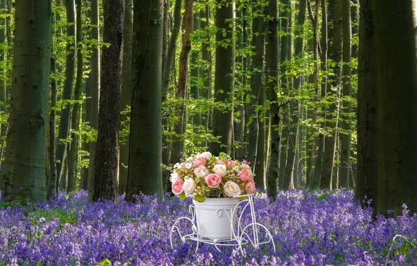 Картинка лес, белый, цветы, велосипед, поляна, розы, букет, горшок, цветочки, подставка, сиреневые
