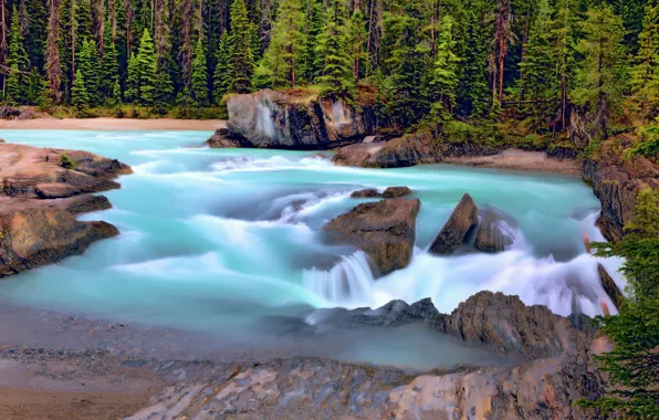 Картинка лес, река, Канада, Canada, British Columbia, Британская Колумбия, Kicking Horse River, Yoho National Park, Национальный …
