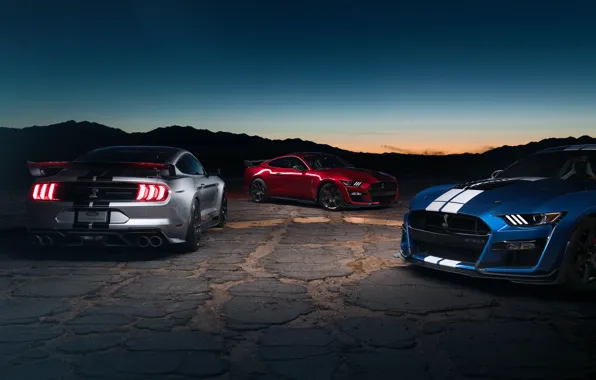 Картинка закат, Mustang, Ford, Shelby, GT500, вечер, сумерки, 2019