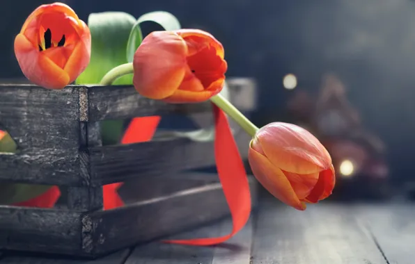 Картинка цветы, тюльпаны, ящик