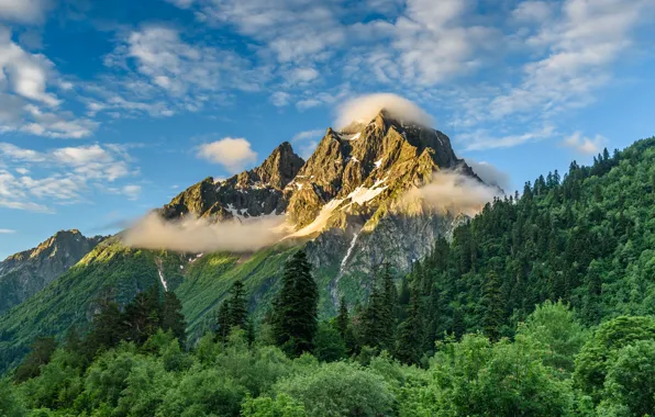 Картинка лес, небо, горы, природа, Кавказ, Анна Андреева