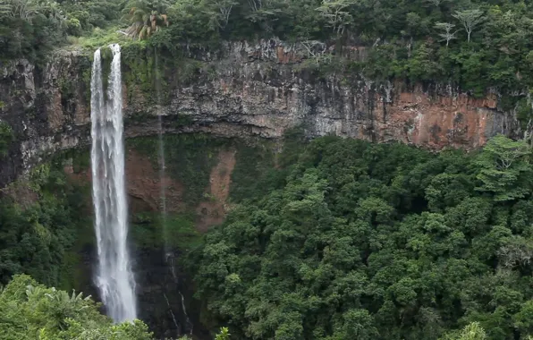 Картинка лес, водопад, джунгли, пропасть, Маврикий, Mauritius, Waterfalls near Chamarel