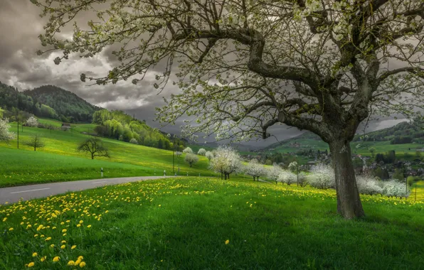 Картинка весна, Schweiz, Waldenburg, Kanton Basel-Land