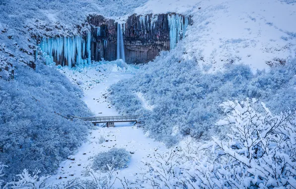 Картинка зима, лес, снег, мост, скала, река, Исландия, Iceland, Свартифосс, Vatnajökull National Park, замёрзший водопад, Svartifoss, …
