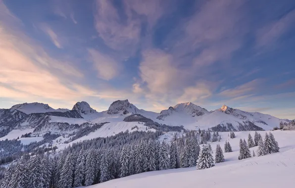 Картинка зима, иней, лес, небо, облака, горы, в снегу, склоны, вершины, ели, сугробы, заснеженный
