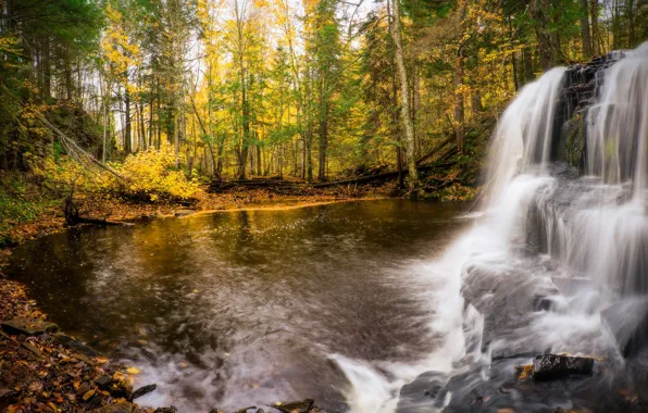 Картинка осень, лес, деревья, берег, водопад, поток, водоем