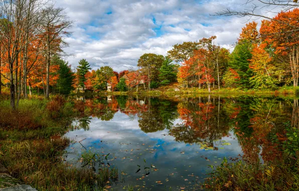 Картинка осень, деревья, озеро, пруд, отражение, берег, домики, водоем