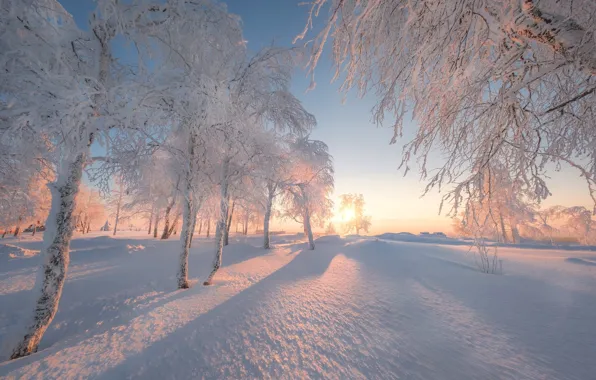 Картинка зима, снег, деревья, рассвет, утро, Россия, Пермский край, Белая гора