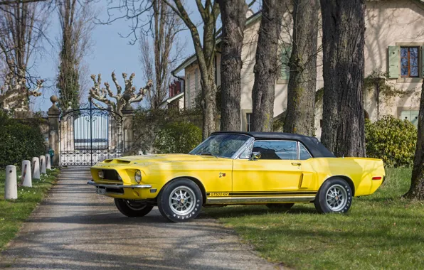 Картинка Mustang, Ford, Ford Mustang, Front, Yellow, Side, Convertible, GT500 KR