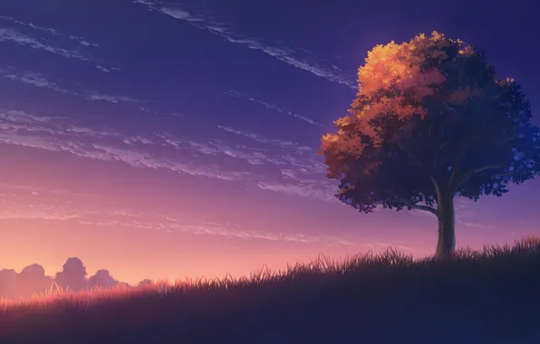 Картинка осень, небо, закат, дерево