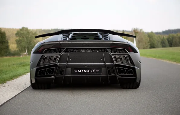 Картинка Lamborghini, суперкар, вид сзади, Mansory, Huracan, 2016, Torofeo, 1250 л.с.