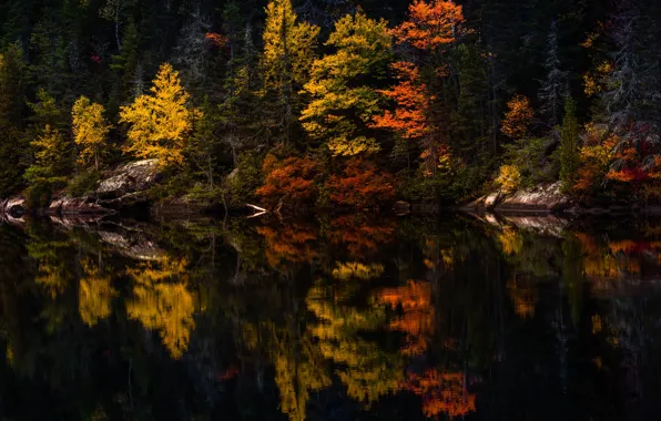 Картинка осень, лес, деревья, озеро, отражение, камни, берег, водоем, краски осени, зеркальное, осенняя природа, яркая листва