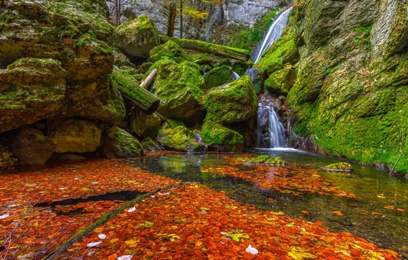 Картинка осень, листья, камни, водопад, мох, зеленые, рыжие, оранжевые, водоем, валуны, осенние