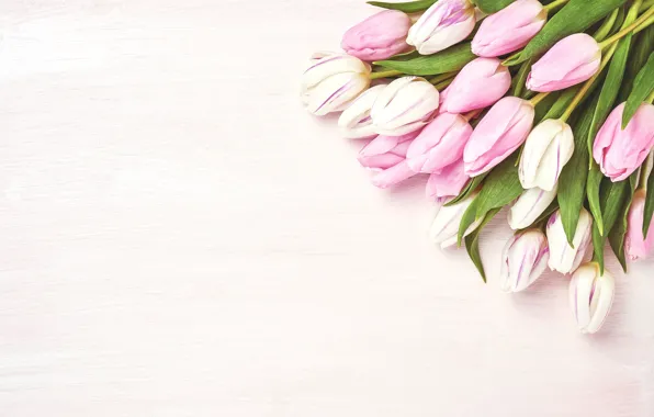 Картинка цветы, фон, розовый, букет, тюльпаны, розовые