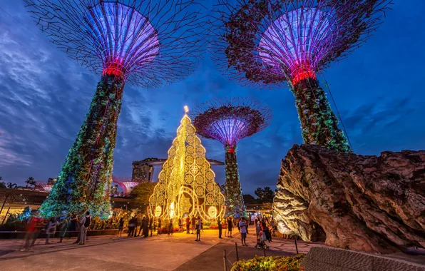 Картинка дизайн, огни, парк, люди, вечер, Сингапур, Gardens by The Bay