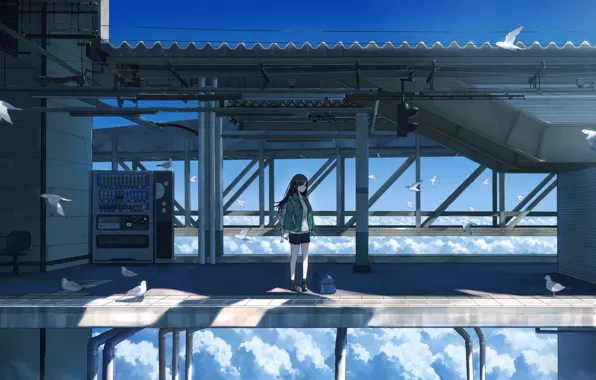 Картинка девушка, облака, мост, высота