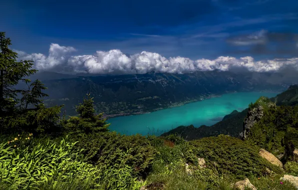 Картинка облака, горы, озеро, Швейцария, Switzerland, Бриенцское озеро, Bernese Alps, Бернские Альпы, Lake Brienz