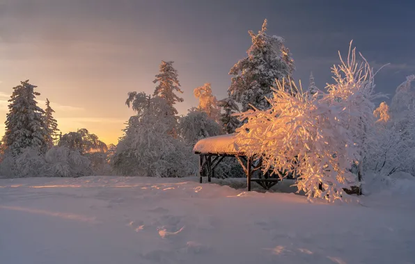 Картинка зима, снег, деревья, пейзаж, закат, природа, беседка, Шарапов Андрей