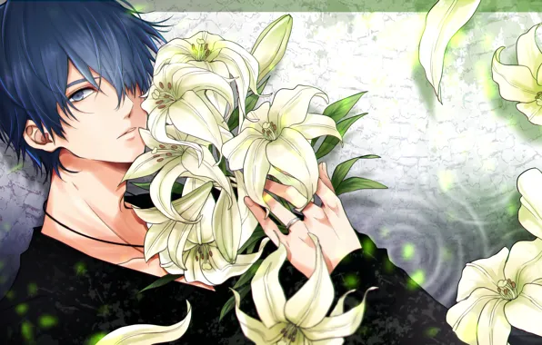 Картинка цветы, лилии, парень, Vocaloid, Вокалоид, Кайто