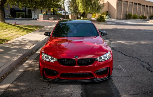 Картинка BMW, Front, RED, Face, F80, Sight