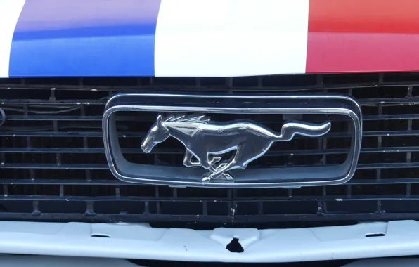 Картинка mustang, ford, french, castellet