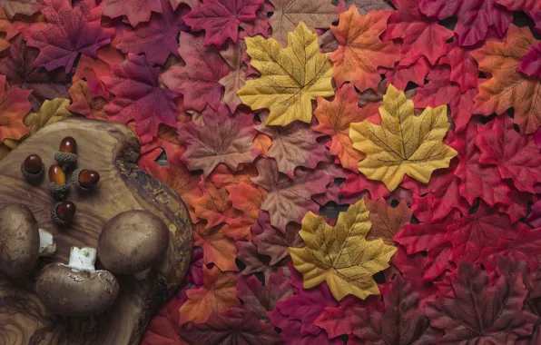 Картинка осень, листья, фон, дерево, грибы, colorful, red, доска, клен, wood, background, autumn, leaves, осенние, maple