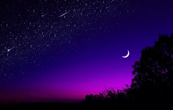 Картинка Moon, Sky, Night, Trees