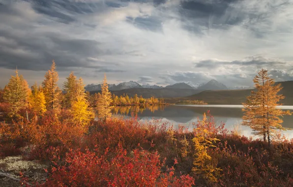 Картинка осень, лес, небо, облака, деревья, горы, туман, озеро, берег, даль, желтые, дымка, водоем, краски осени, …