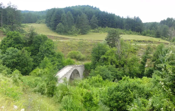 Картинка forest, Grevena, stone bridge