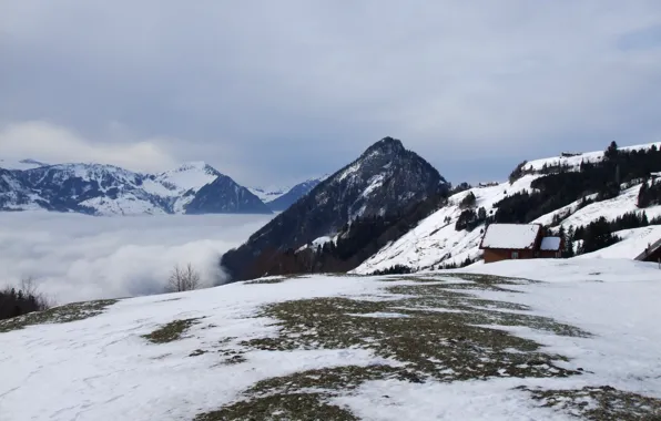 Картинка Switzerland, Alps, mount Rigi-Scheidegg