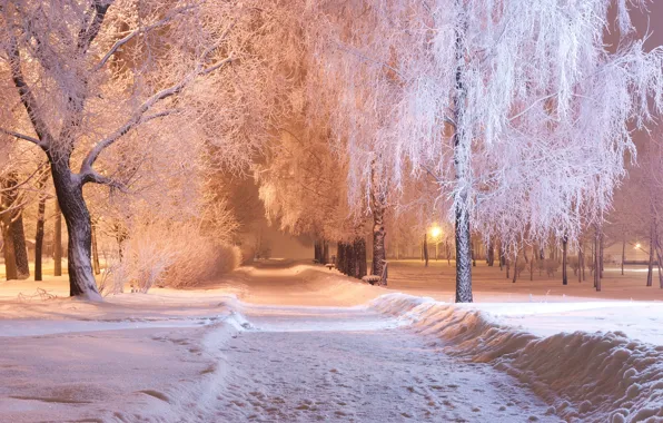 Картинка зима, снег, деревья, парк, вечер, дорожка