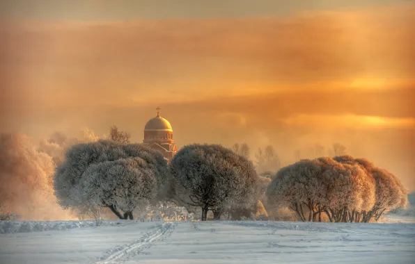 Картинка trees, winter, dome, church