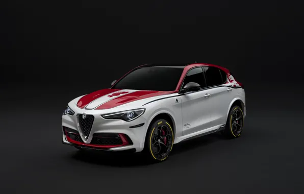 Картинка тюнинг, Alfa Romeo, Racing, 2019-20, Stelvio Quadrifoglio