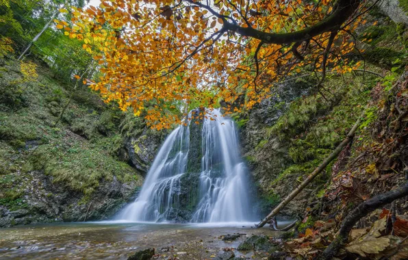Картинка осень, деревья, скала, река, водопад, Германия, Бавария, каскад, Germany, Bavaria, Josefsthaler Waterfalls, Hachelbach Stream, Водопады …