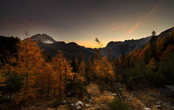 Картинка осень, лес, небо, закат, горы, камни, склоны, вечер, сумерки, лиственницы, осенняя природа
