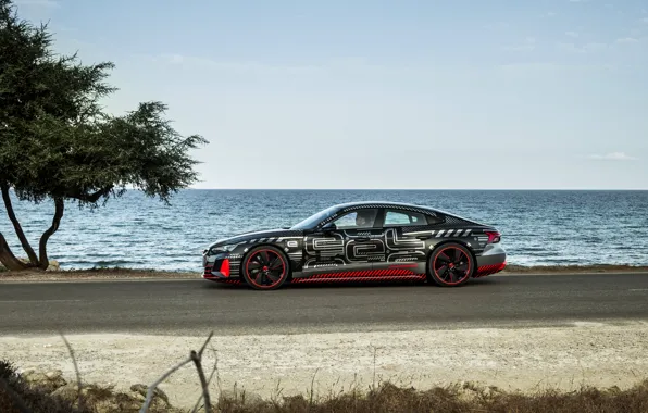Картинка Audi, берег, купе, вид сбоку, 2020, RS e-Tron GT Prototype