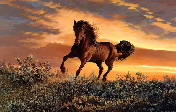 Картинка поле, небо, облака, закат, природа, поза, конь, растительность, лошадь, рисунок, картина, арт, живопись, кусты, копыта, …