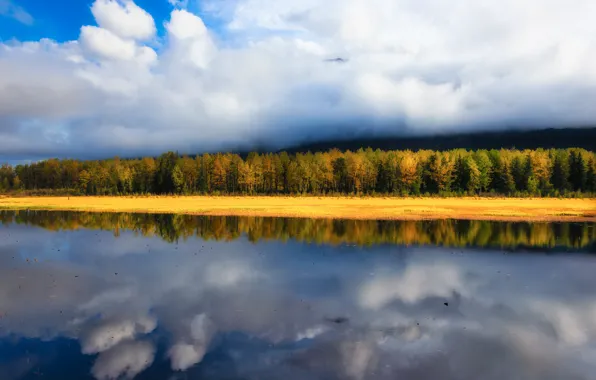 Картинка осень, лес, небо, облака, свет, туман, озеро, отражение, синева, берег, дымка, водоем, зеркальное
