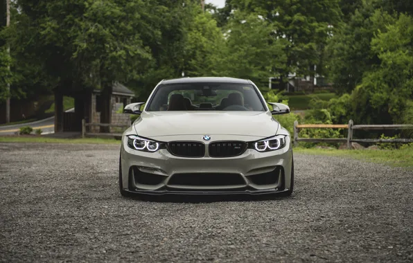 Картинка BMW, Front, Face, F82, Forest